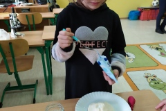 5c