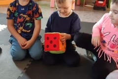 122430998_855054275269570_8489540702776772624_n
