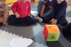 122472176_855054178602913_2737947442036532531_n