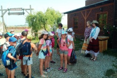 IMG_20190611_093125