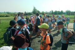 IMG_20190611_093343