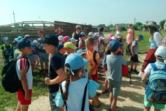 IMG_20190611_094420