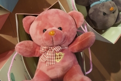 20190309_114237