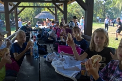 WP_20180917_11_34_07_Pro